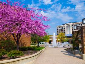 印第安纳州立大学 Indiana State University