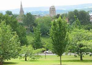 埃克塞特大学 University of Exeter