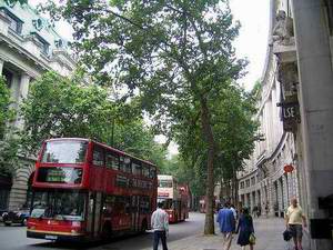 伦敦政治经济学院 LSE