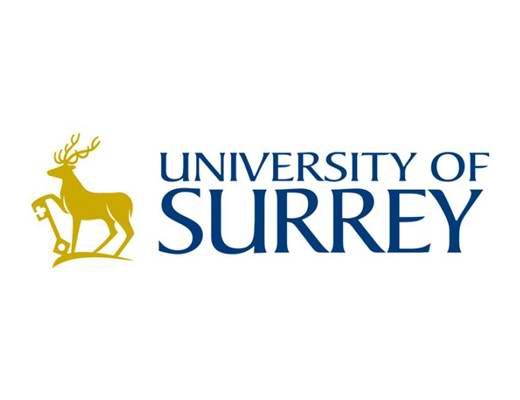 萨里大学 University of Surrey