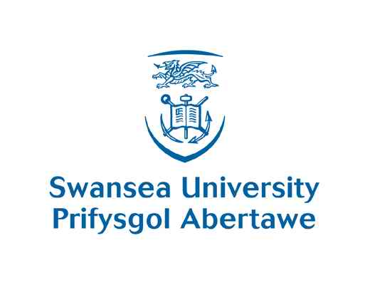 斯旺西大学 Swansea University